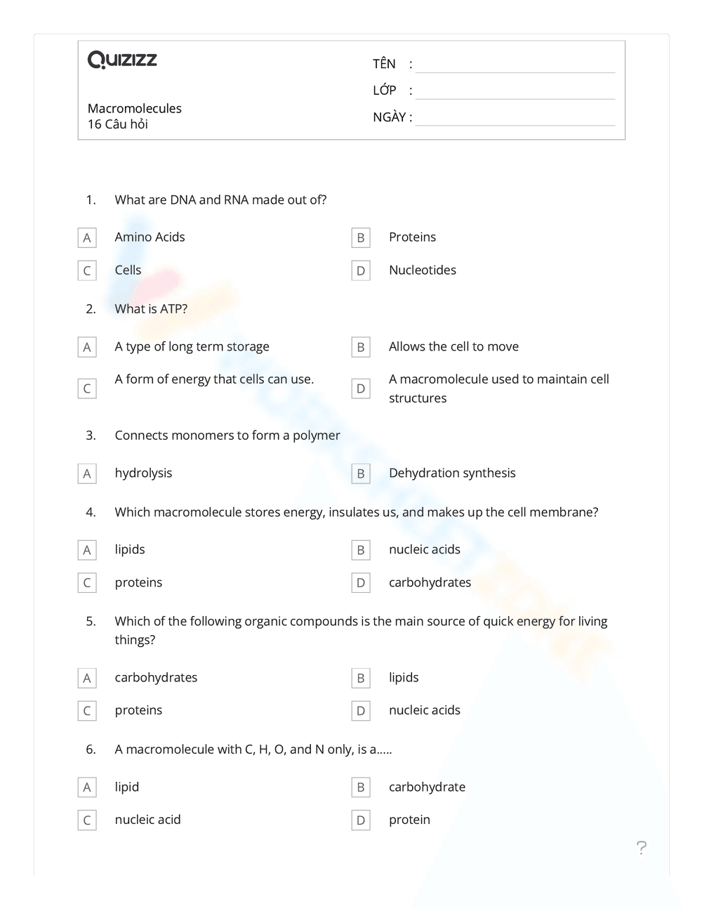 Macromolecules Worksheet with Answer Key - Page 1