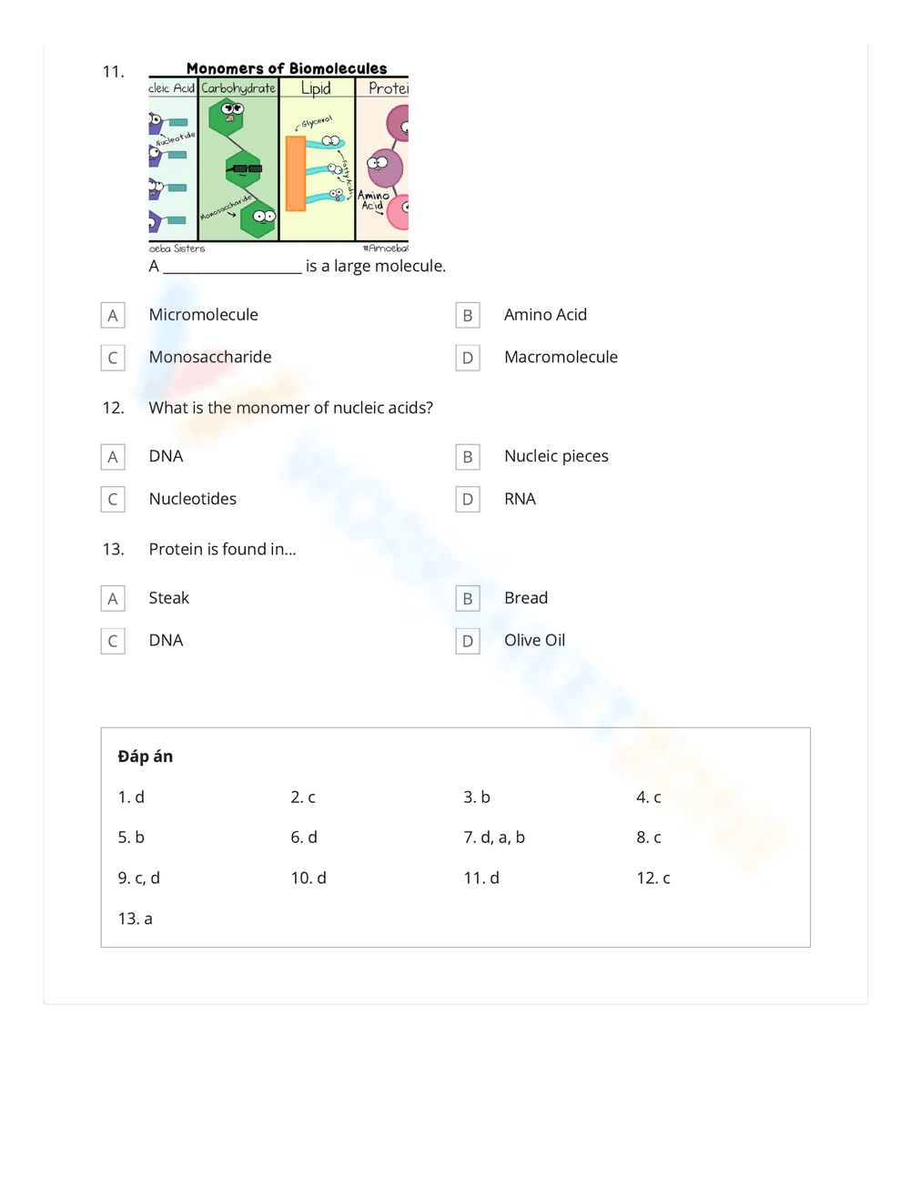 Macromolecules Quiz Practice Worksheet - Page 3