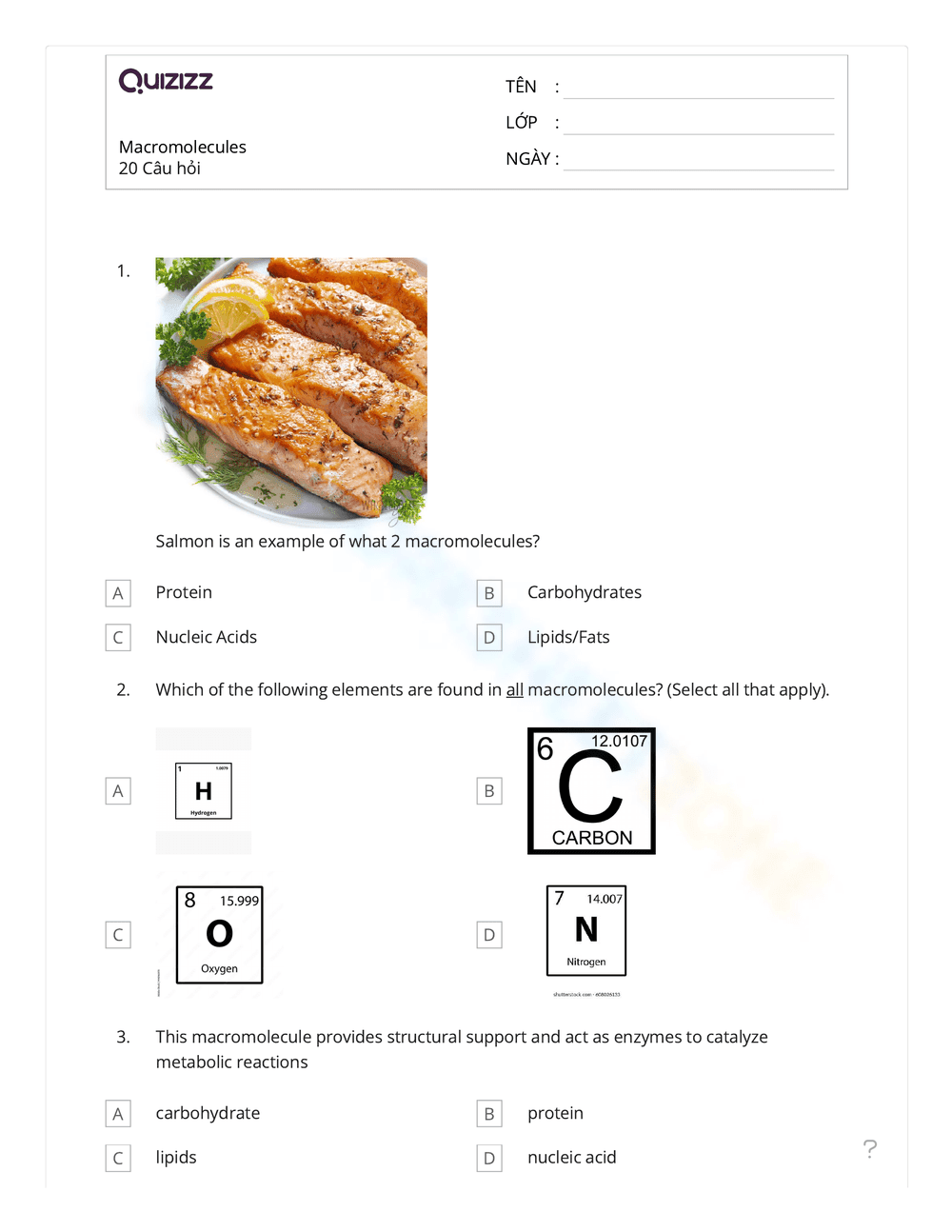 Science: Macromolecule Worksheet for Biology Class - Page 1
