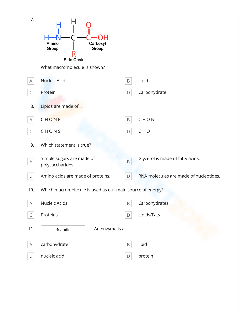 Science: Macromolecule Worksheet for Biology Class - Page 3