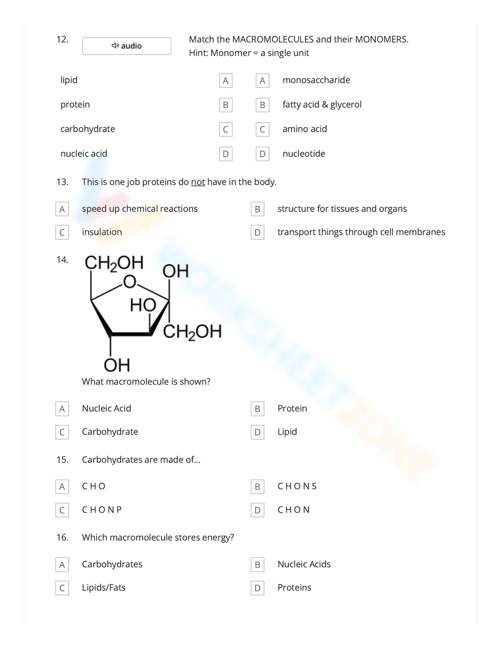 Science: Macromolecule Worksheet for Biology Class - Page 4