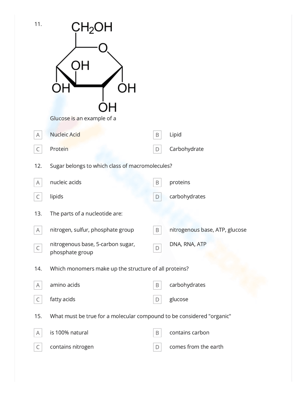 Review Macromolecules with Quizizz Review Worksheet - Page 3