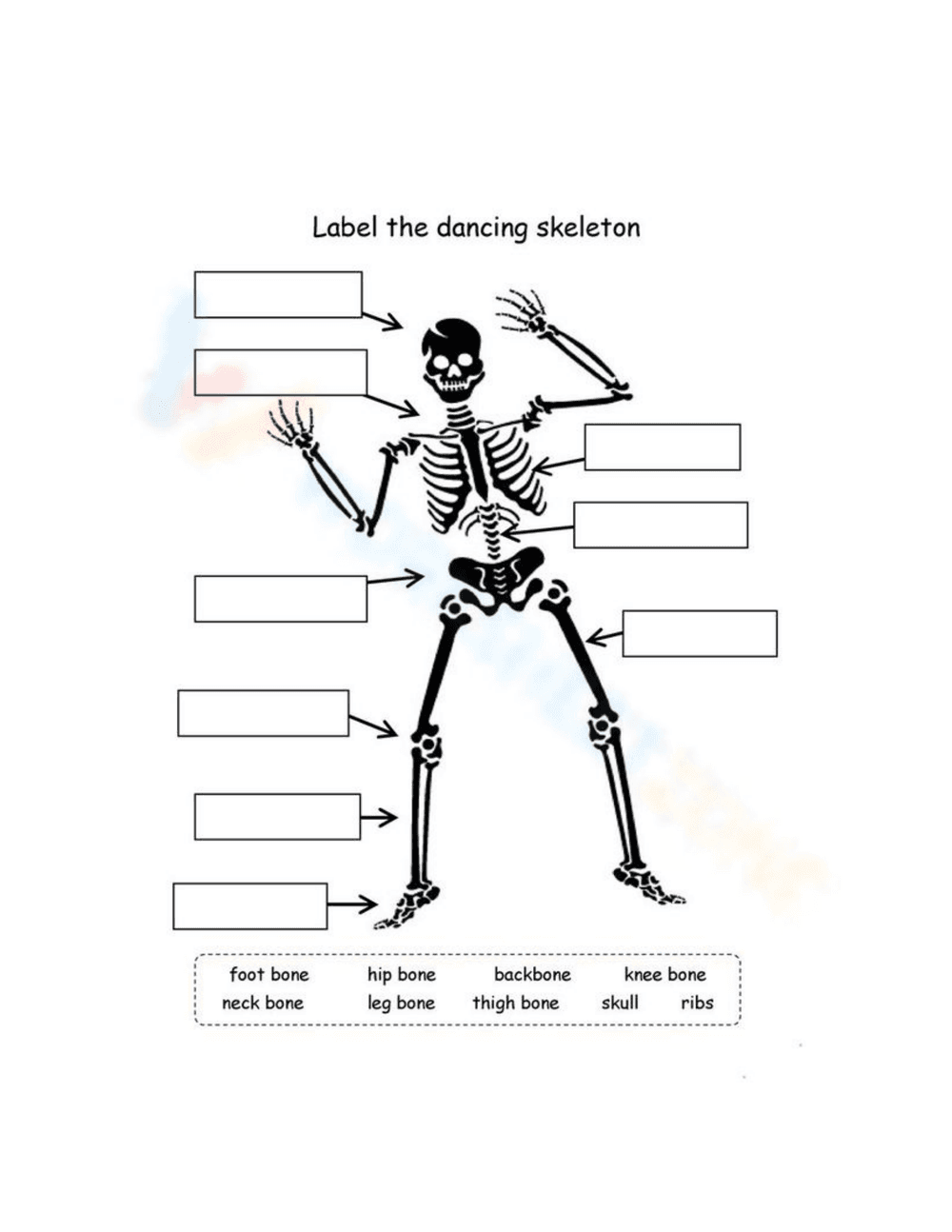 Label the Dancing Skeleton Anatomy Worksheet - Page 1