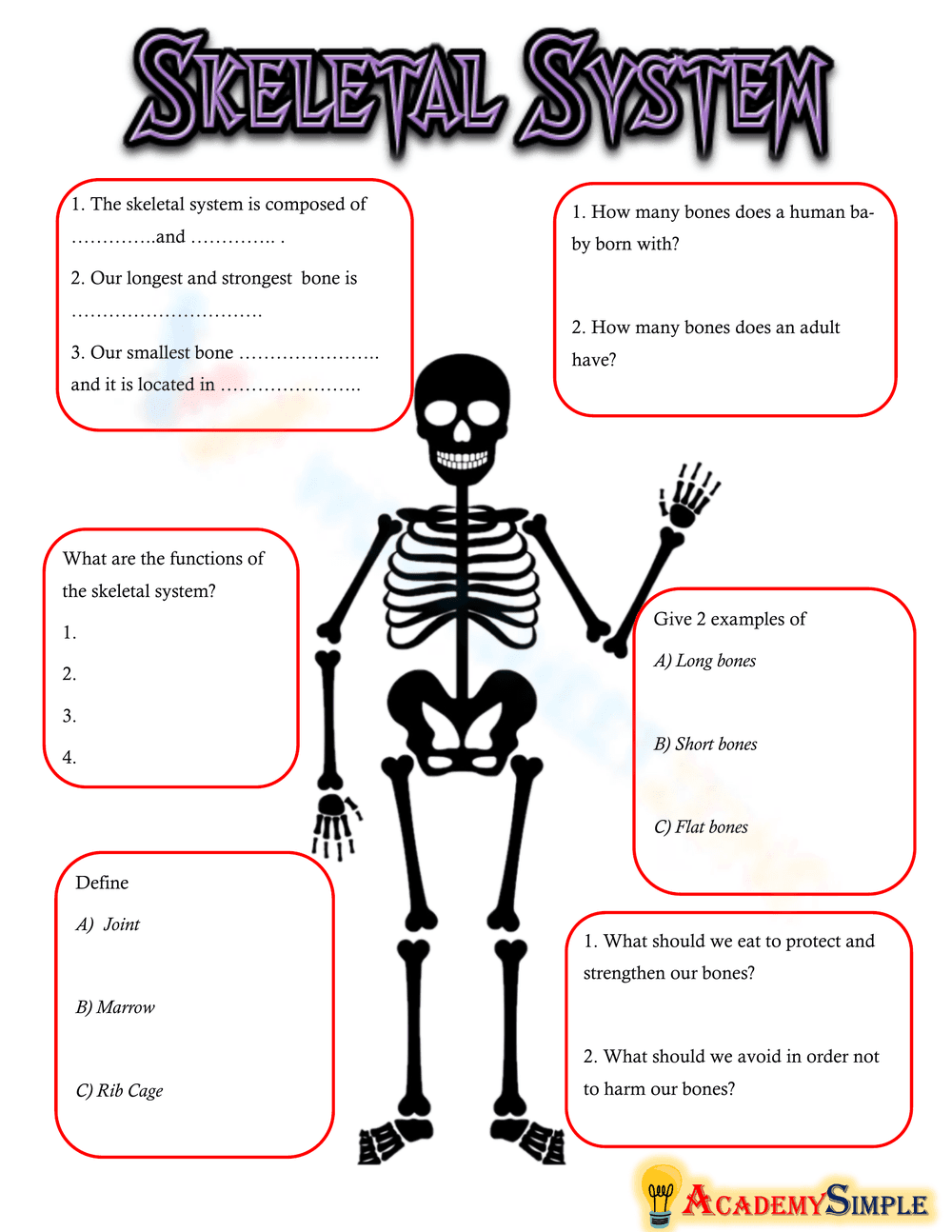 Explore the Skeletal System! - Page 1