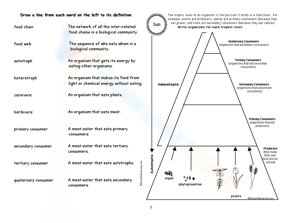 Energy Pyramid - Page 1