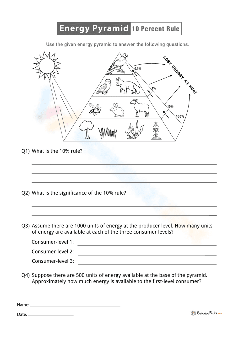 Ten Percent Rule: Energy Pyramid Worksheet - Page 1