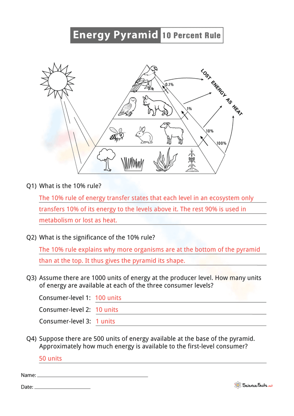 Ten Percent Rule: Energy Pyramid Worksheet - Page 2