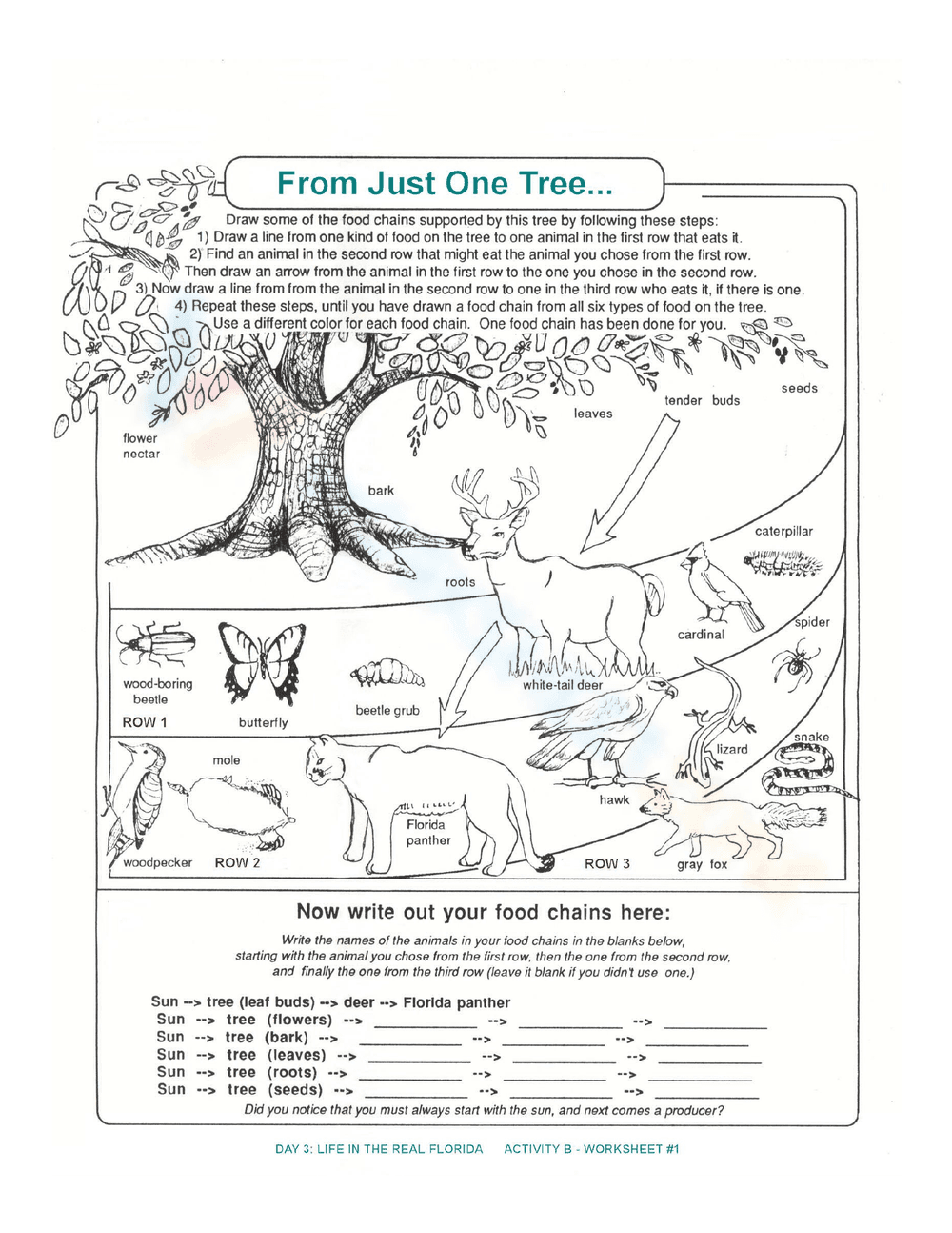 Biotic & Abiotic Factors from One Tree Worksheet - Page 1