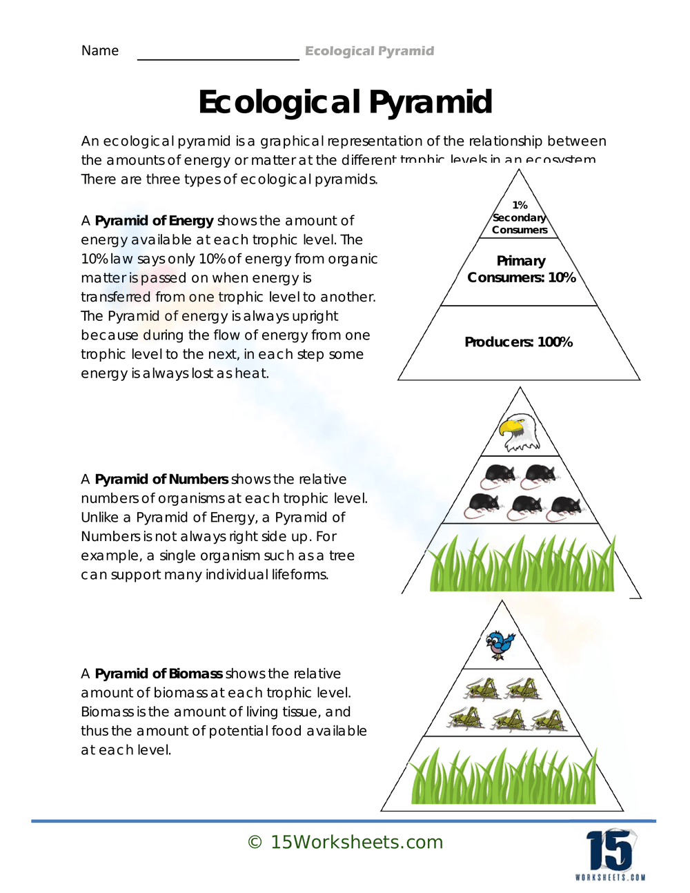 Complete Reference Map Worksheet - Page 1