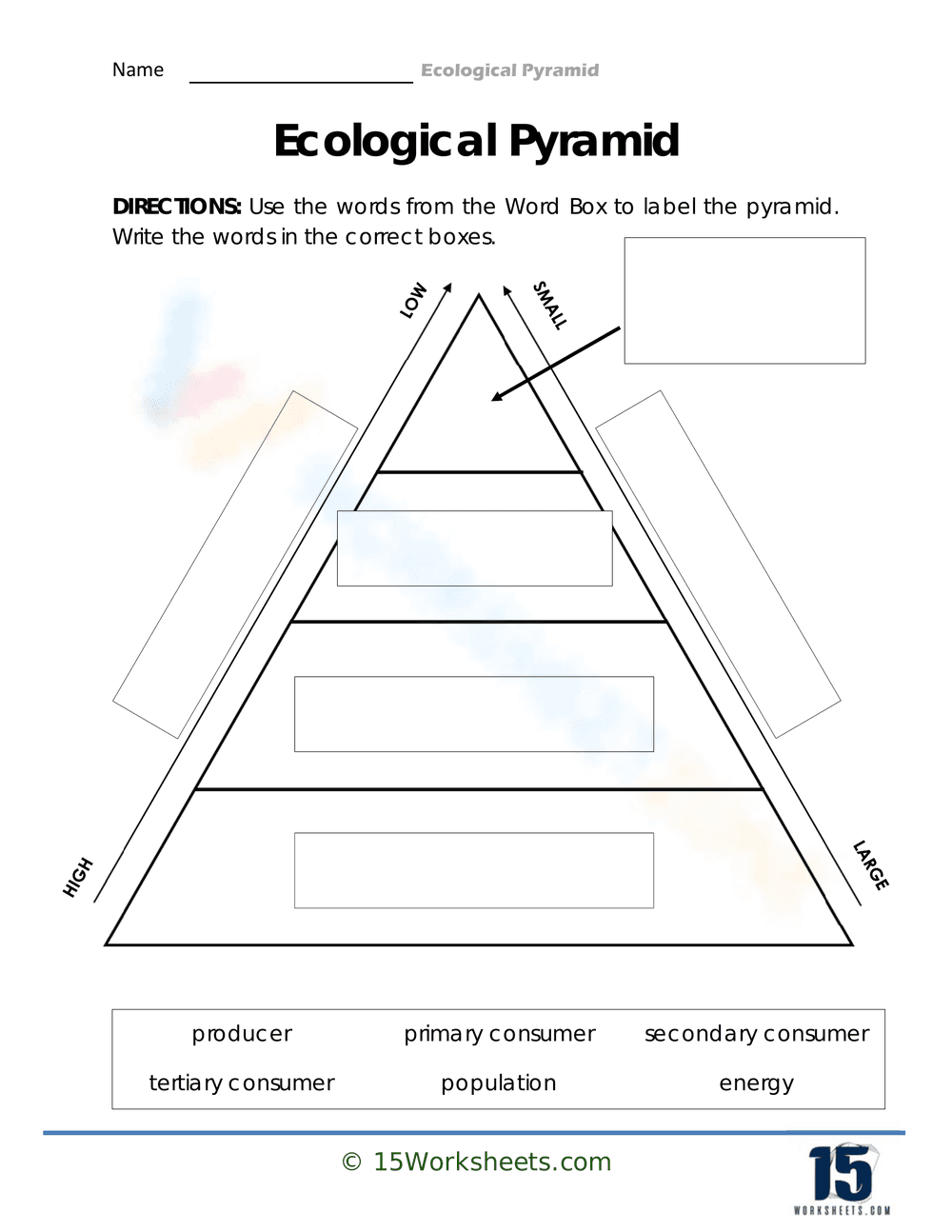 Creating Ecological Pyramids - Page 1