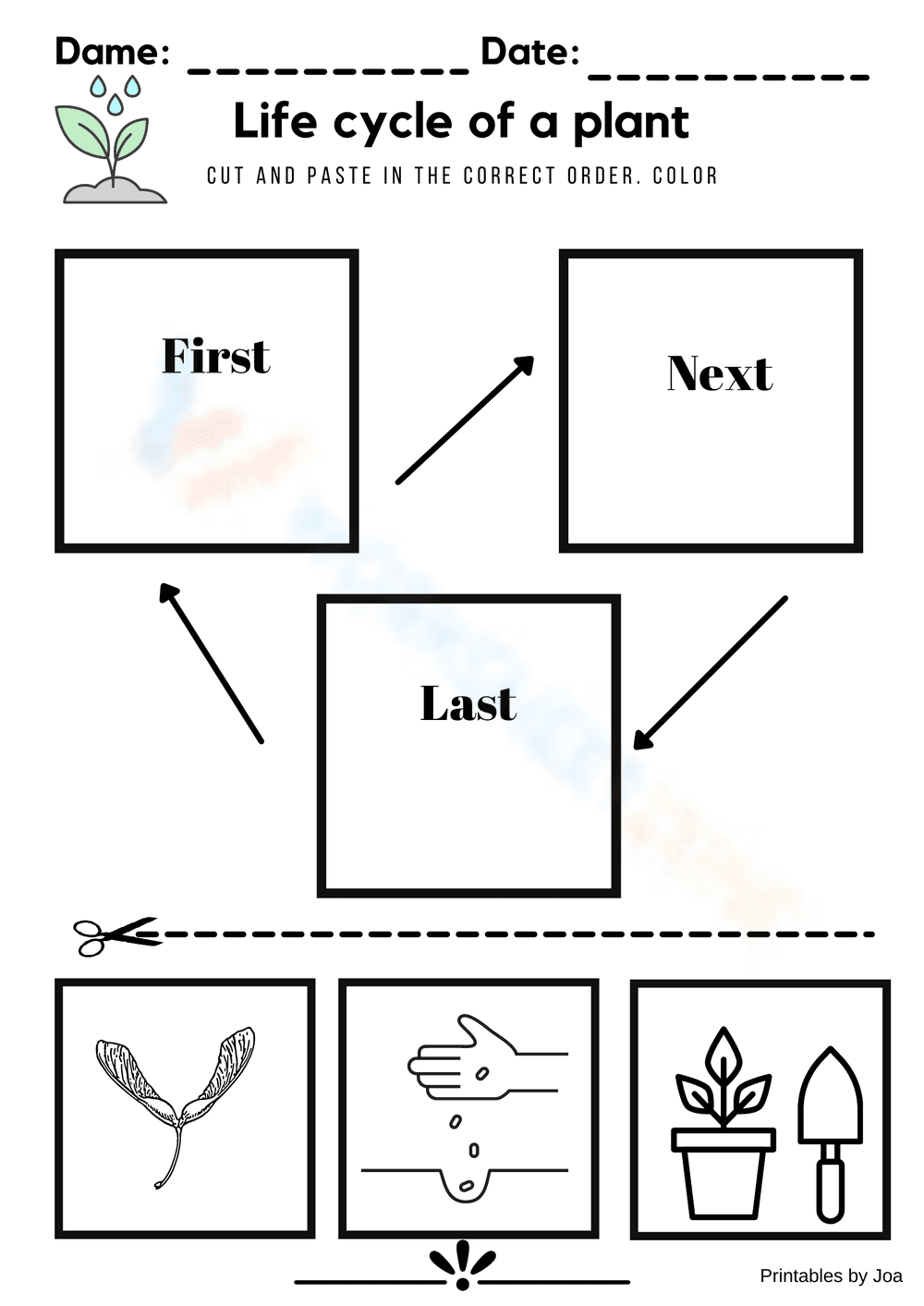 Life Cycle of a Plant Cut and Paste - Page 1