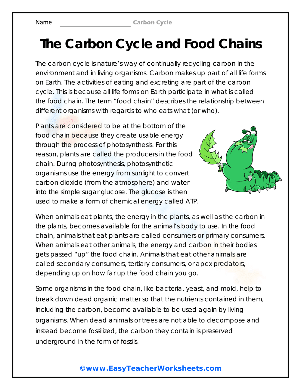 Carbon Cycle and Food Chains Worksheet - Page 1
