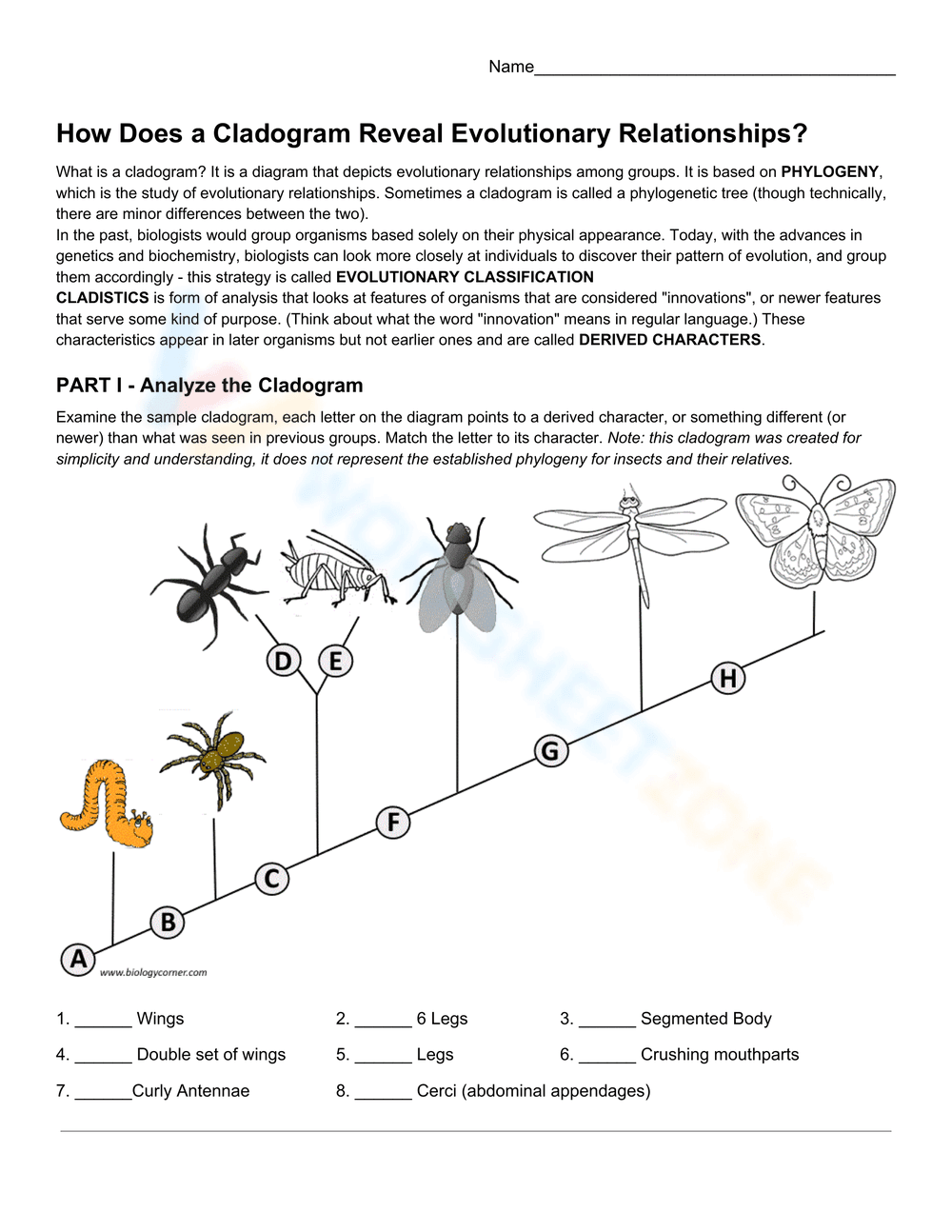 Exploring Cladogram Analysis Worksheet - Page 1