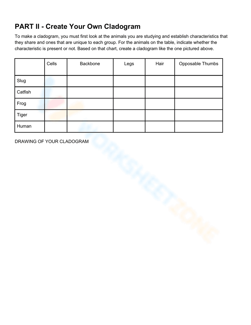 Exploring Cladogram Analysis Worksheet - Page 2