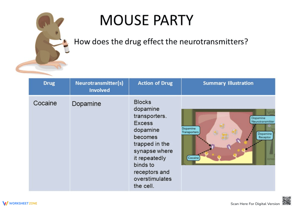 Mouse Party Drug Effects Worksheet - Page 1