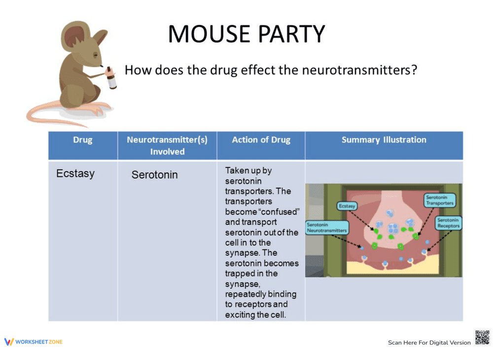 Mouse Party Drug Effects Worksheet - Page 2