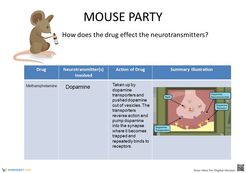 Mouse Party Drug Effects Worksheet - Page 3
