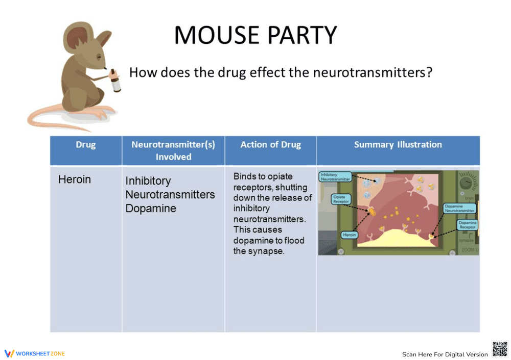 Mouse Party Drug Effects Worksheet - Page 4