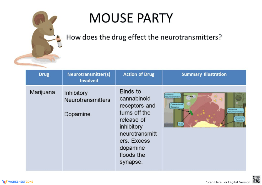 Mouse Party Drug Effects Worksheet - Page 6