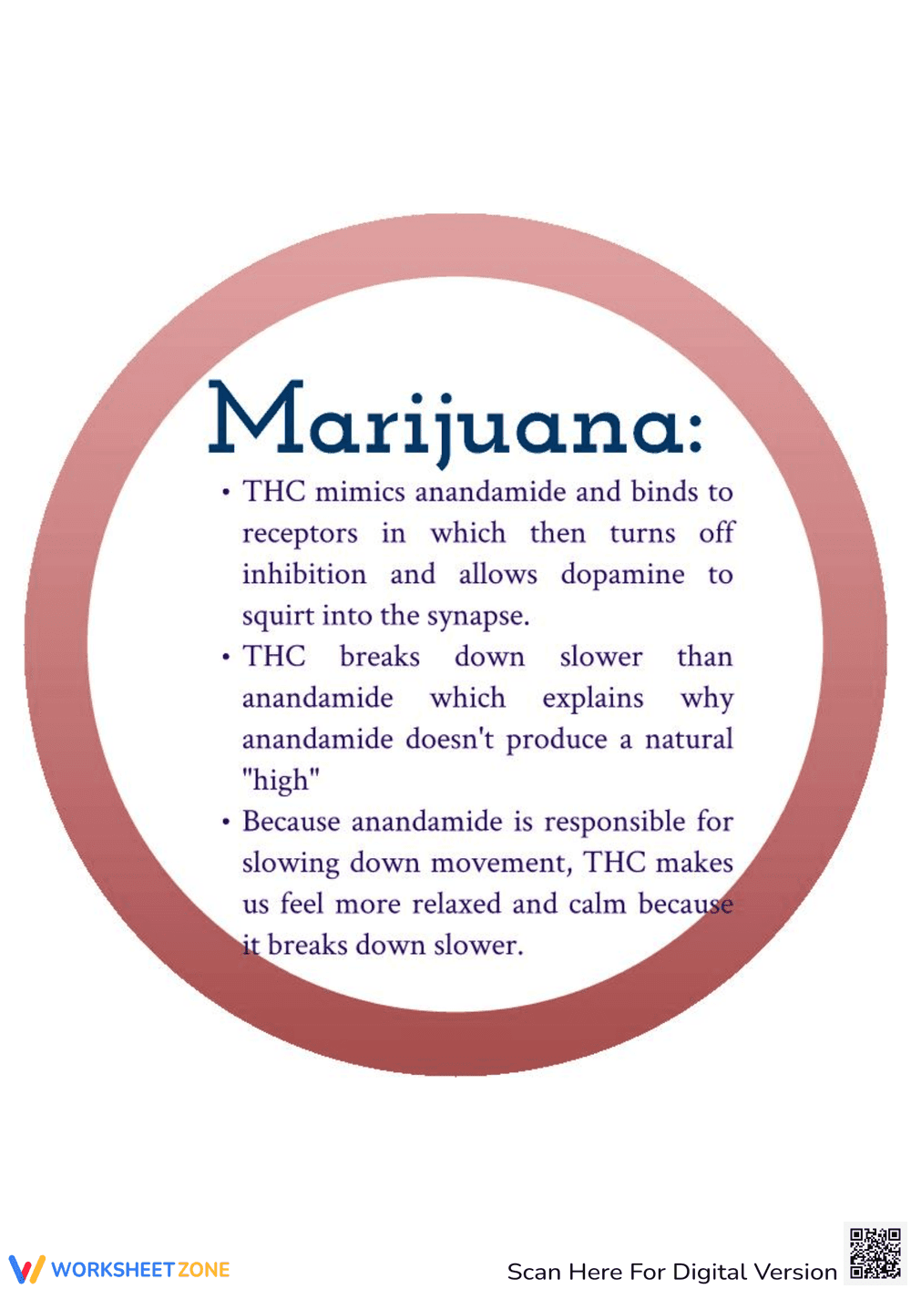 Understanding the Effect of Drugs on the Brain - Page 4