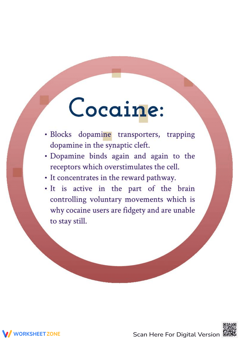 Understanding the Effect of Drugs on the Brain - Page 5