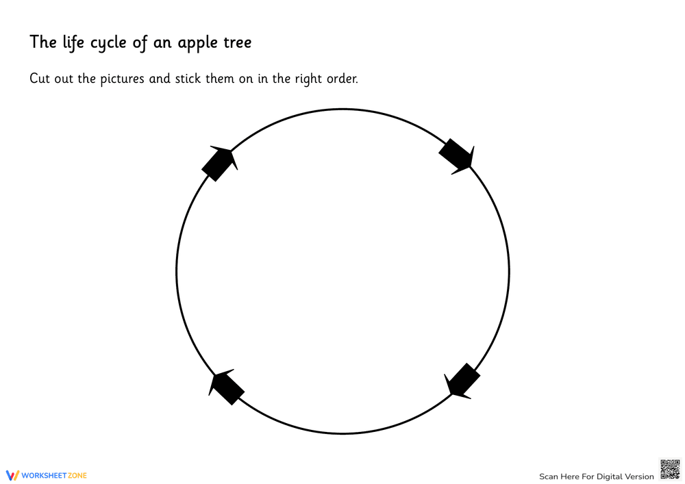 Apple Tree Life Cycle: Cut and Paste - Page 1