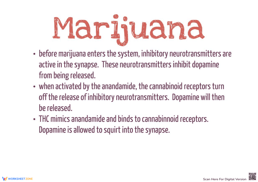 Visualize the Effect of Drugs on Brain - Page 5