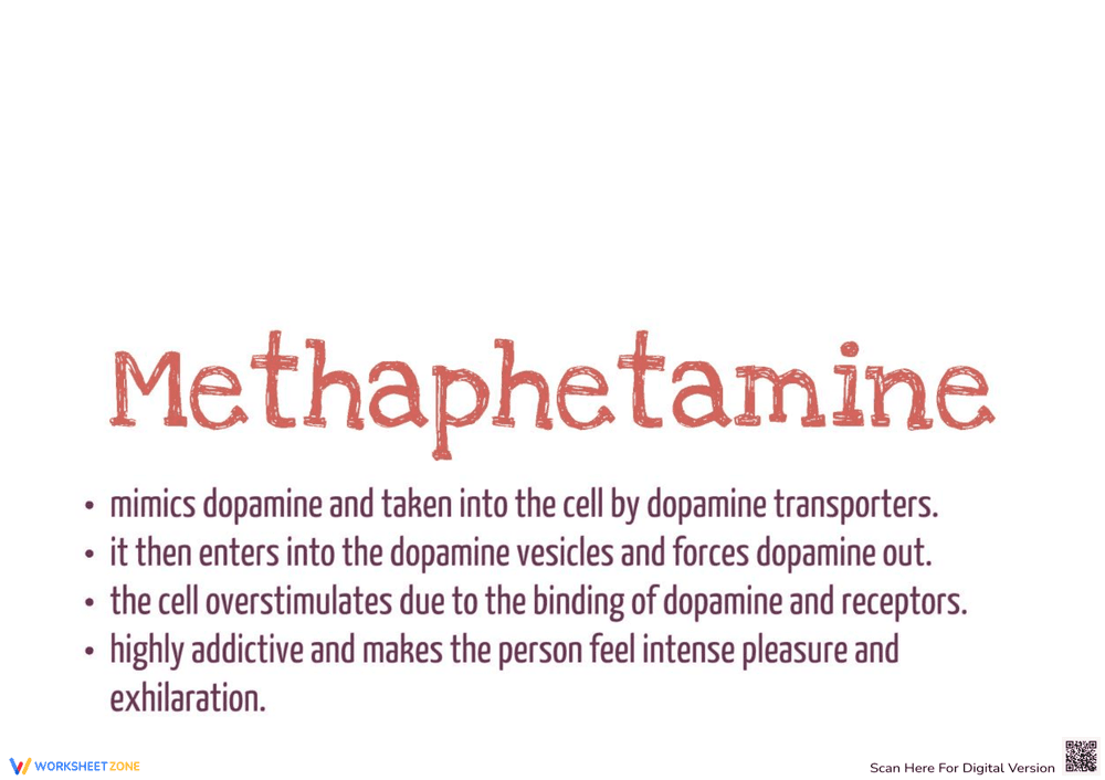 Visualize the Effect of Drugs on Brain - Page 6