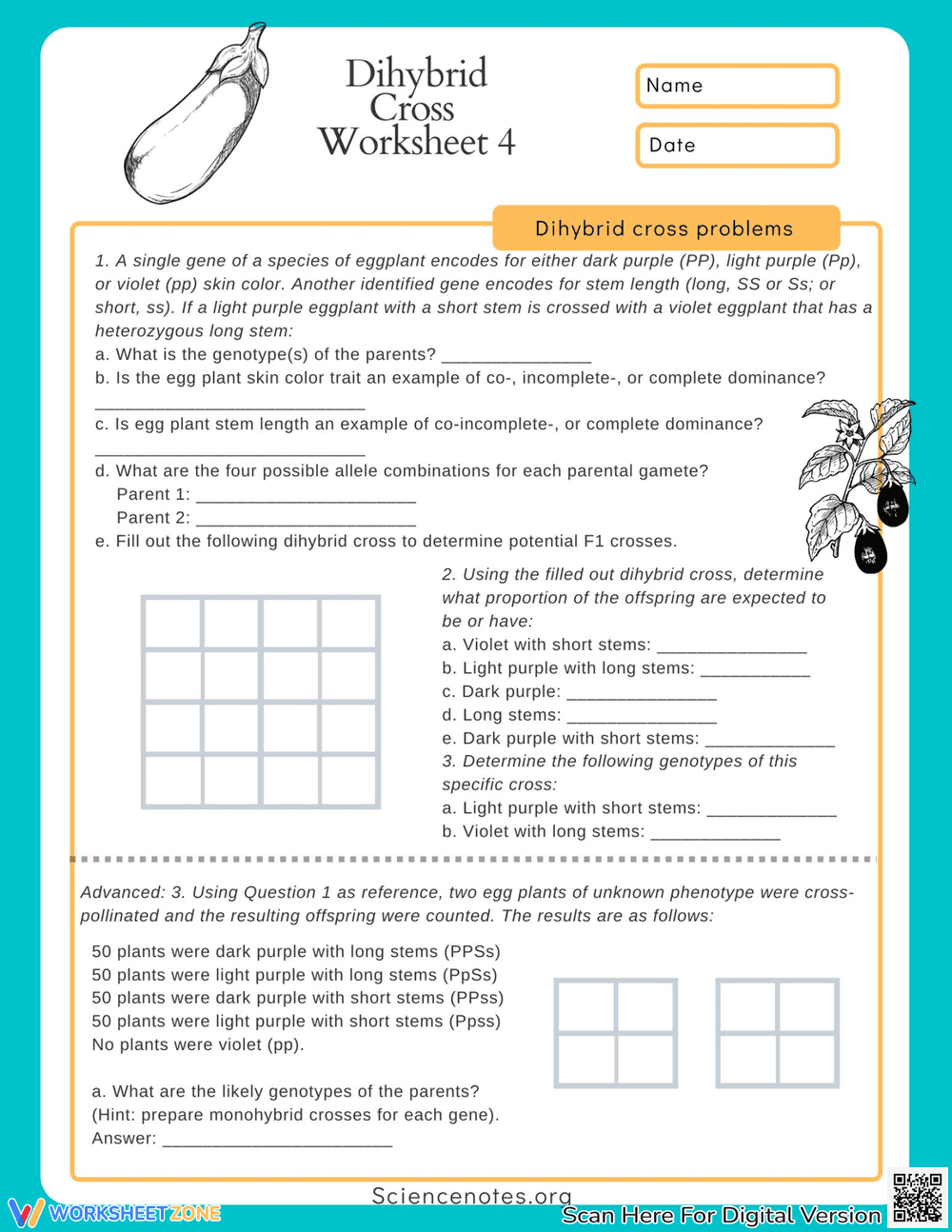 Solve Dihybrid Cross Problems - Page 1