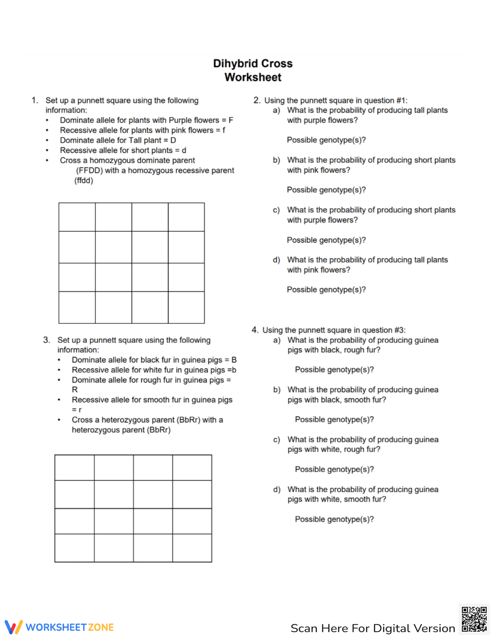Dihybrid Cross Worksheet - Page 1