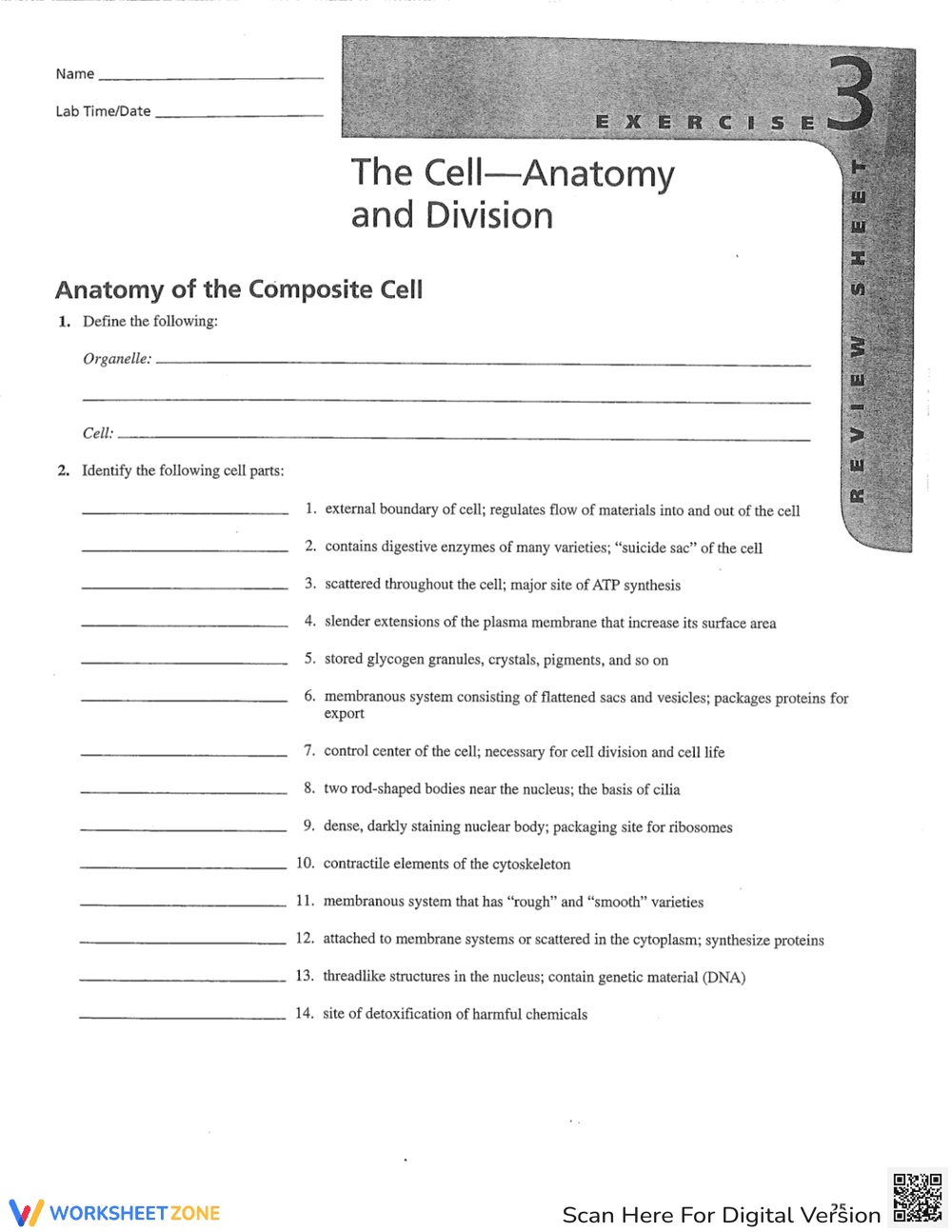 Cell Anatomy and Division: Explore Cell Structures - Page 1