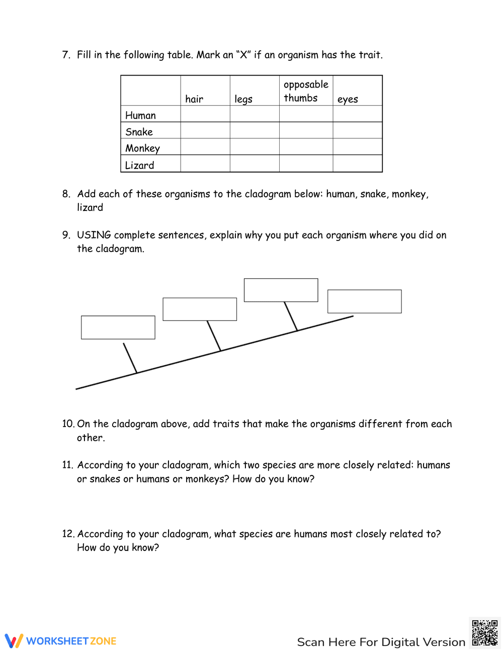 Cladogram Worksheet: Understanding Evolutionary Relationships - Page 2