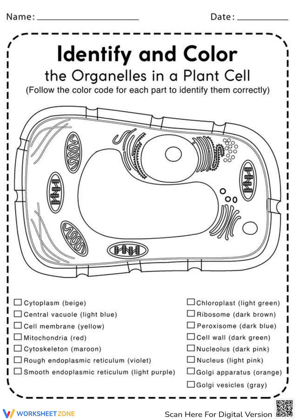 Plant Cell Coloring: Explore Cell Structure - Page 1