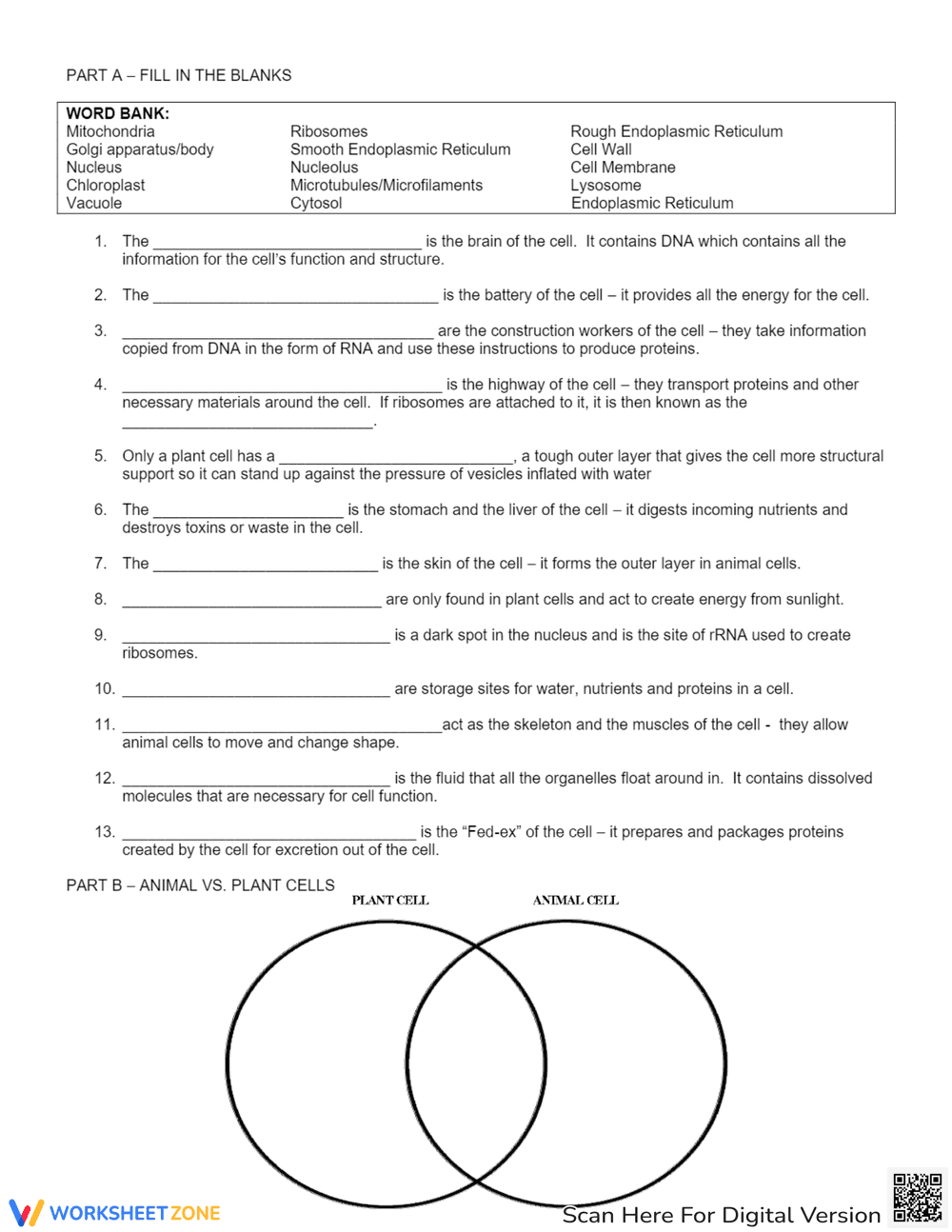 Cellular Anatomy Review: Worksheet for Biology Students - Page 2
