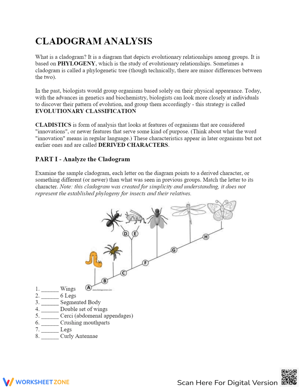 Cladogram Analysis: Understanding Evolutionary Trees - Page 1