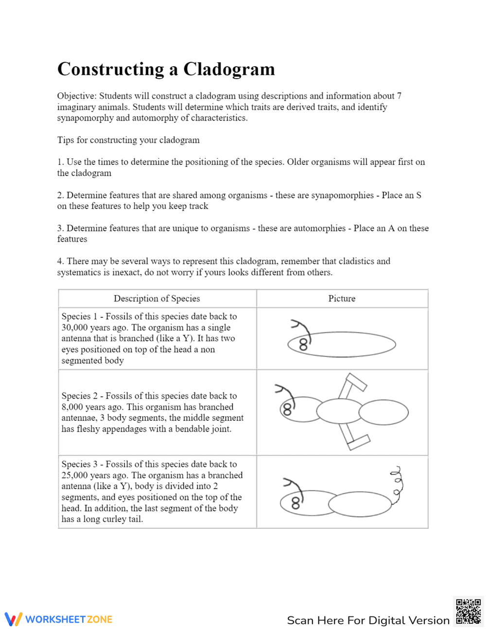 Cladogram Analysis: Understanding Evolutionary Trees - Page 3