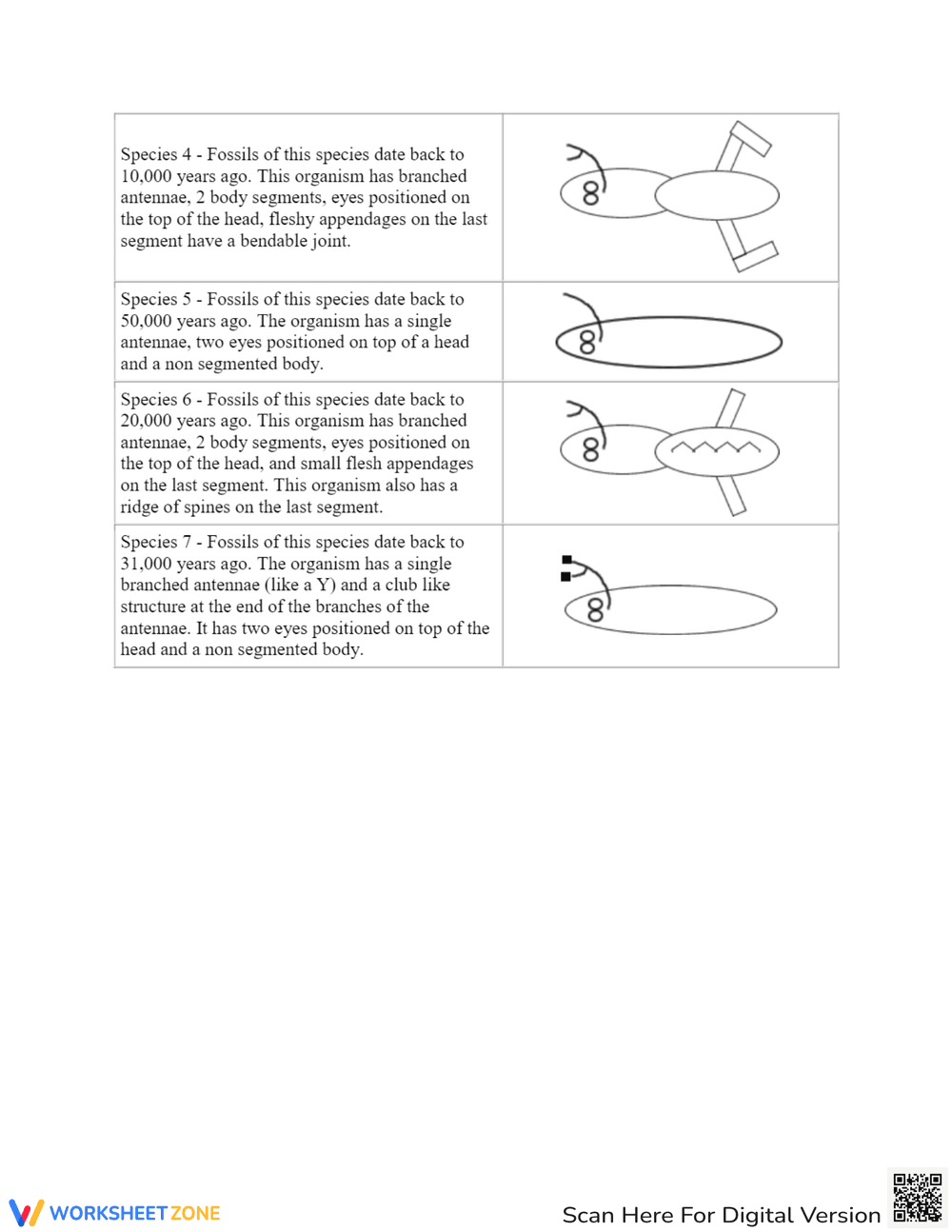 Cladogram Analysis: Understanding Evolutionary Trees - Page 4