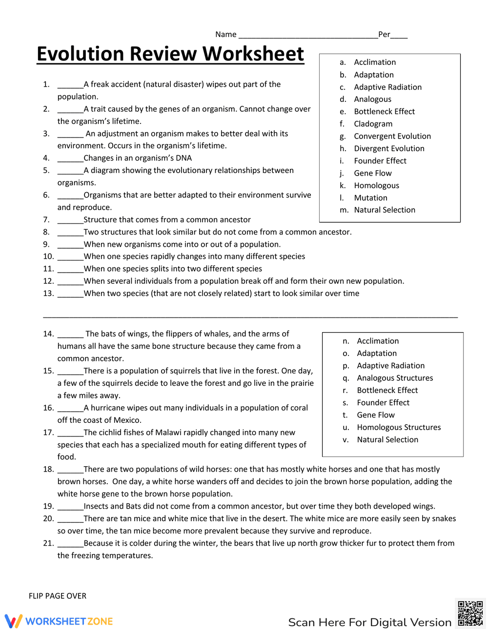 Evolution Review: Comprehensive Worksheet - Page 1