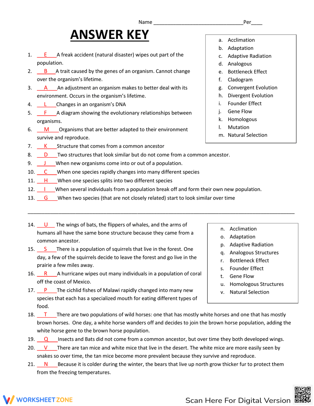 Evolution Review: Comprehensive Worksheet - Page 3