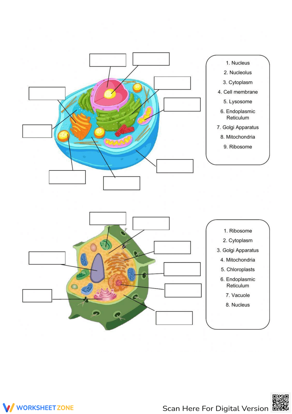 Cell Structure: Exploring Cell Components - Page 1