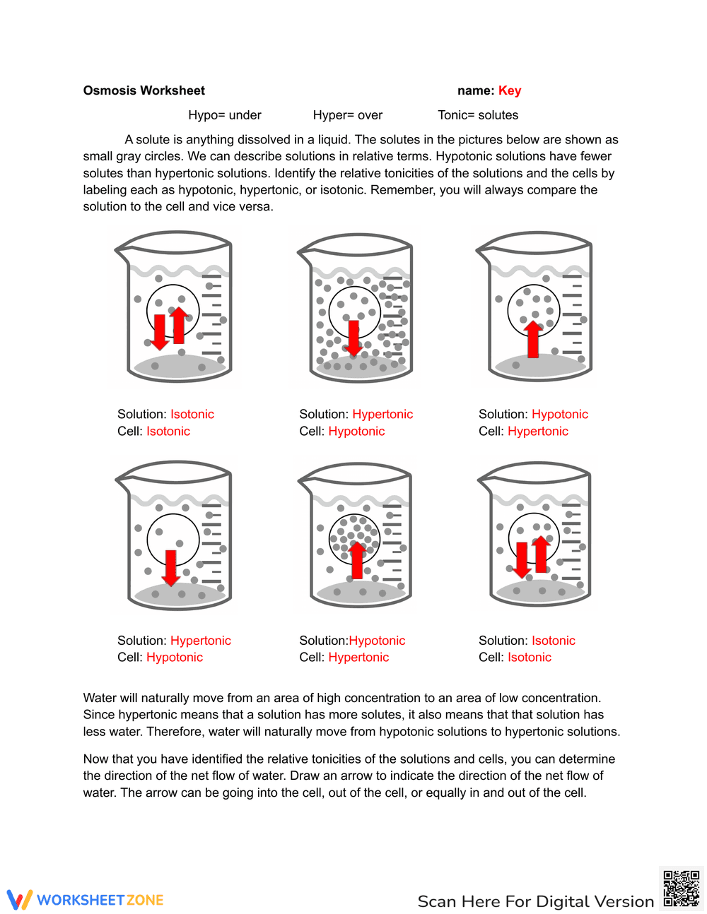 Osmosis Worksheet - Page 2