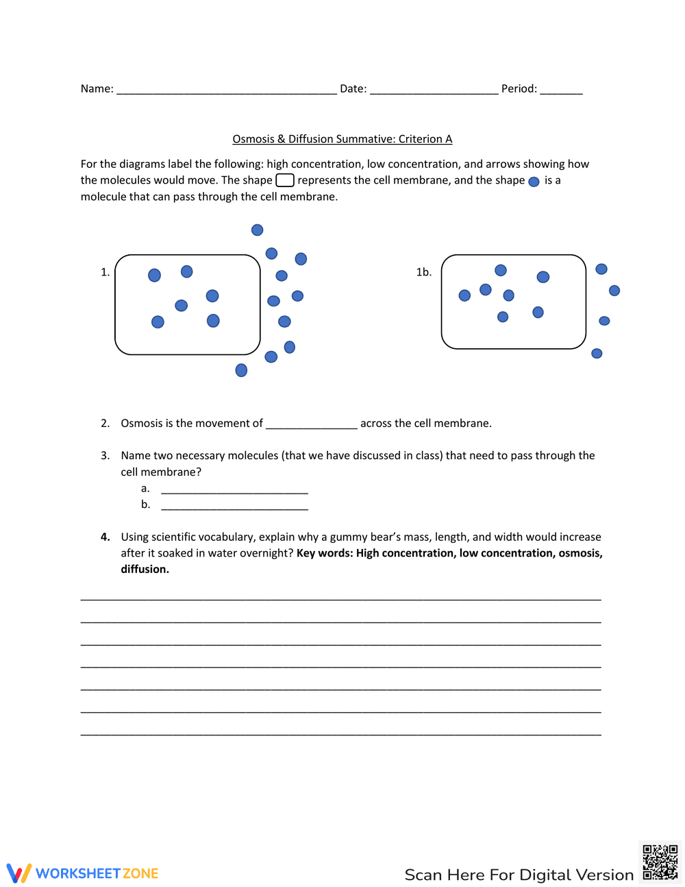 Diffusion Osmosis: Understanding Cell Transport - Page 1