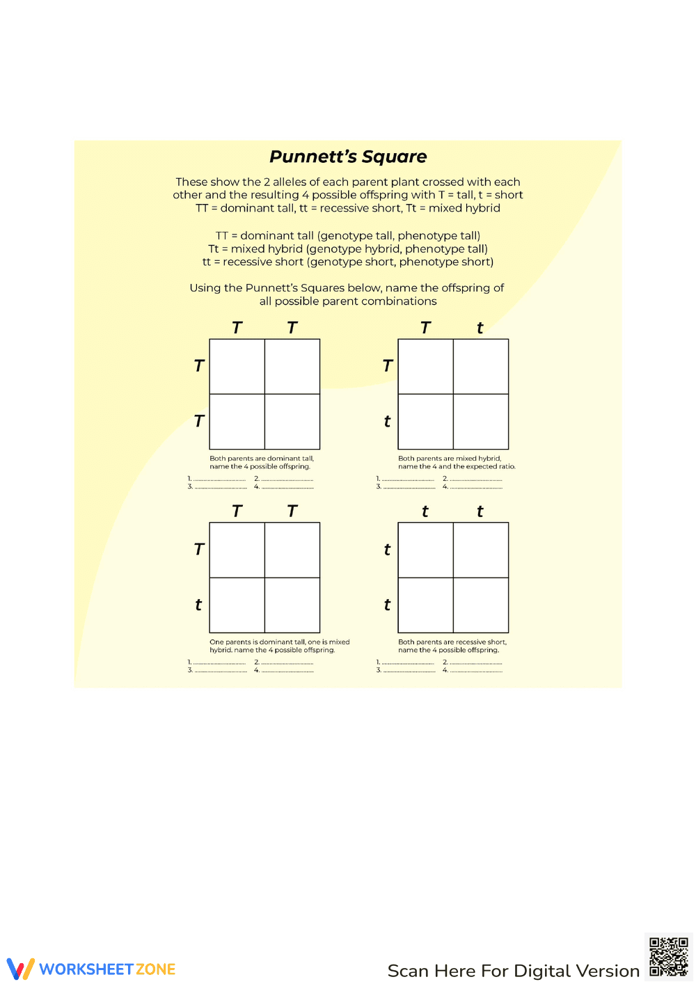 Punnett Square Worksheet: Genetics - Page 1