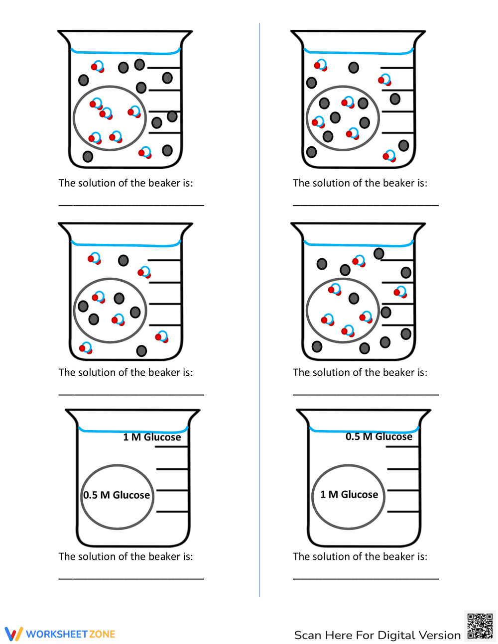 Practice Osmosis and Diffusion with this Worksheet - Page 4