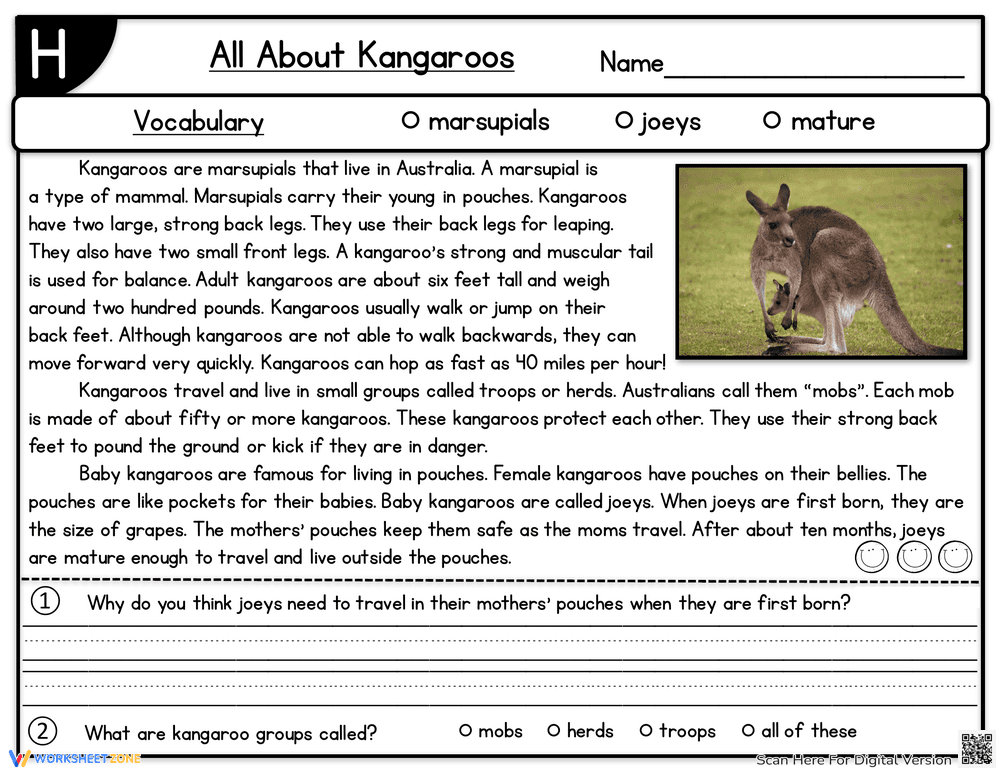 All About Kangaroos: An Informative Worksheet - Page 1