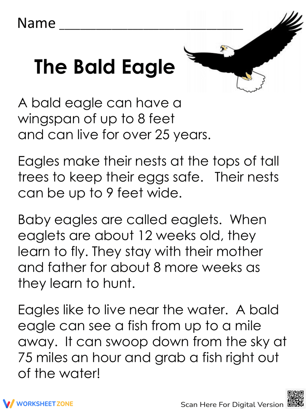 Learning About the Bald Eagle: A Wildlife Worksheet - Page 1