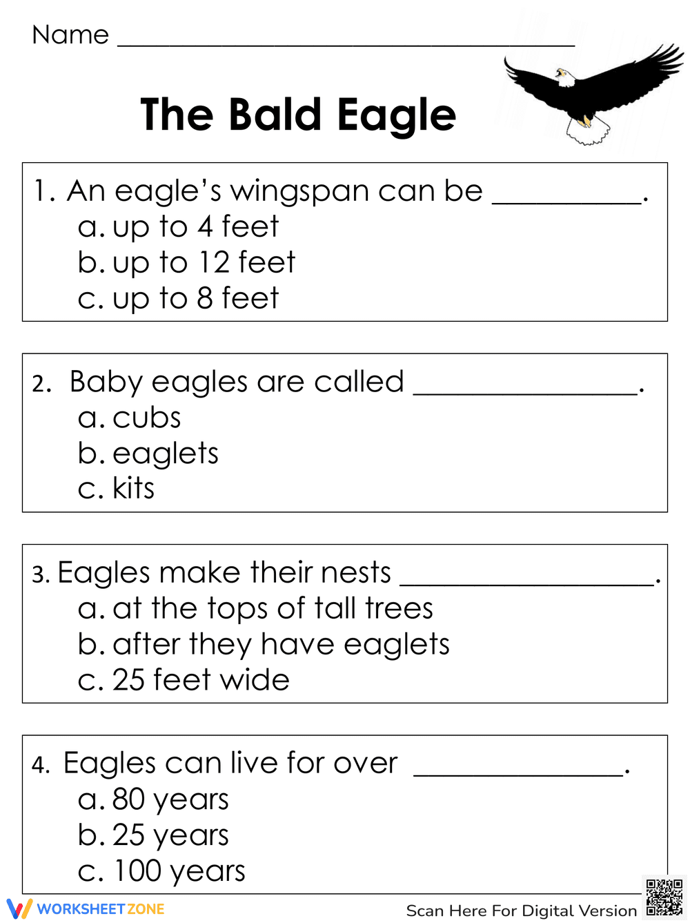 Learning About the Bald Eagle: A Wildlife Worksheet - Page 2