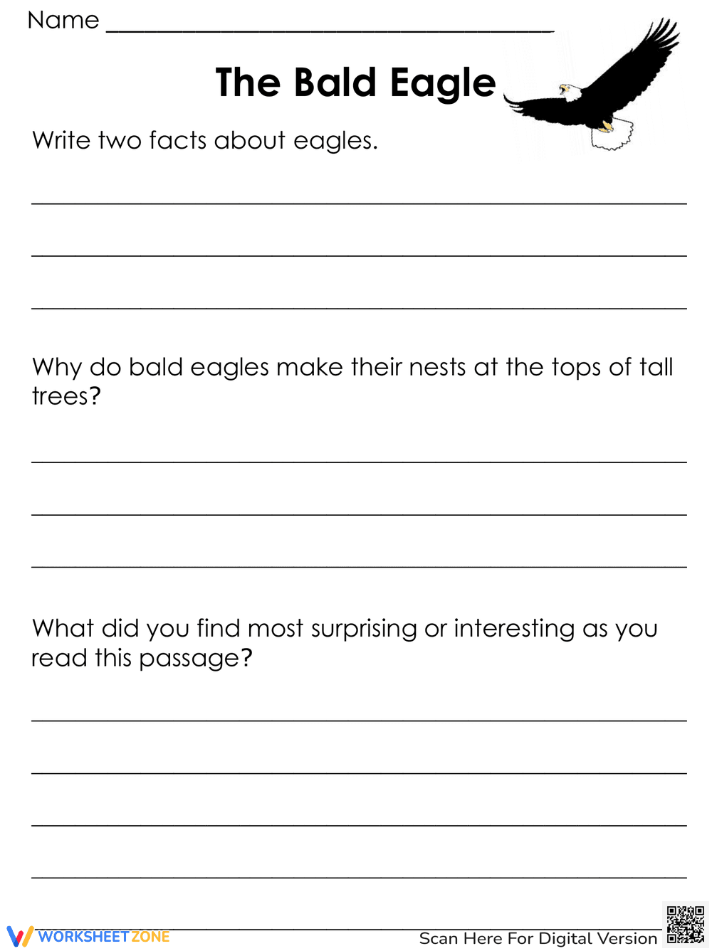 Learning About the Bald Eagle: A Wildlife Worksheet - Page 3