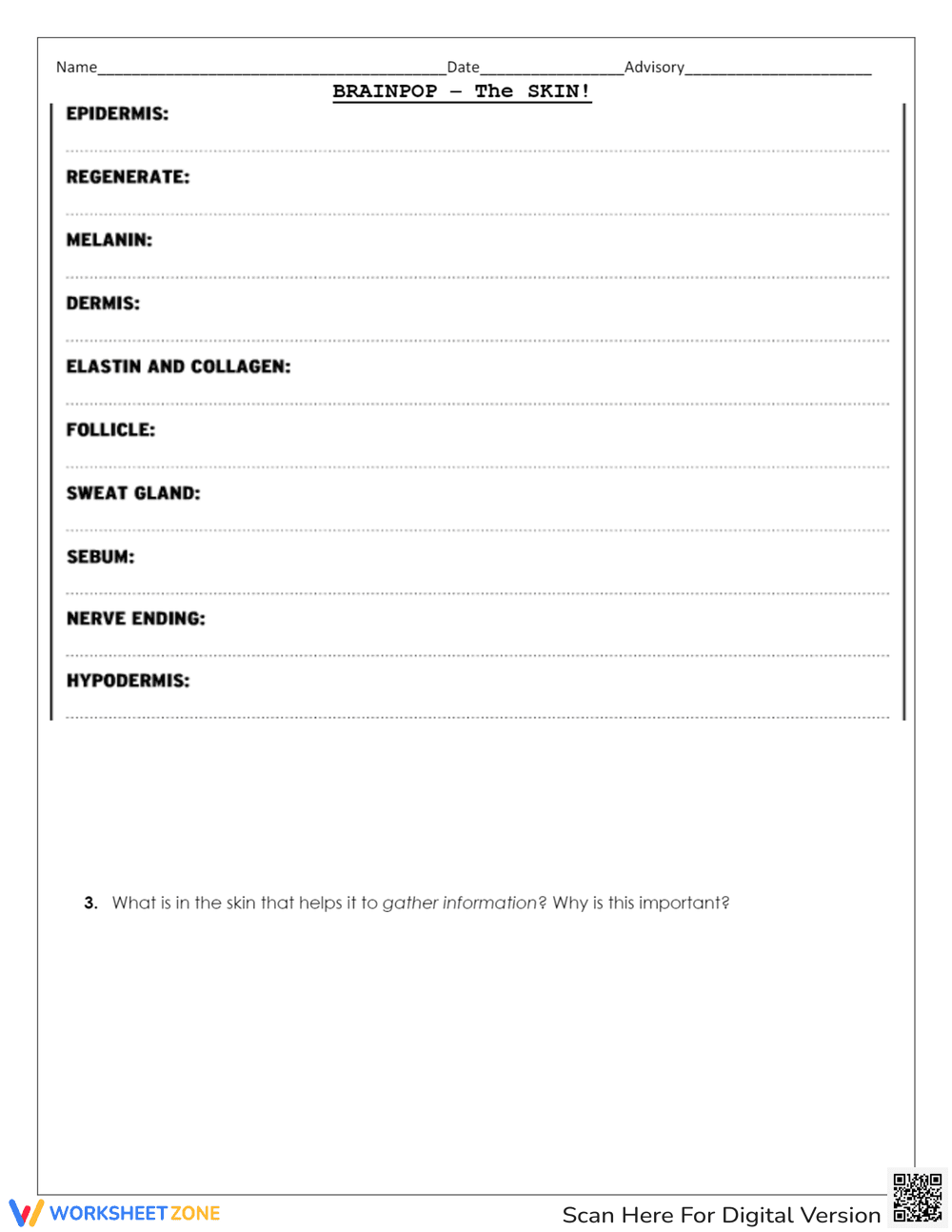 Integumentary System Worksheet - Page 3