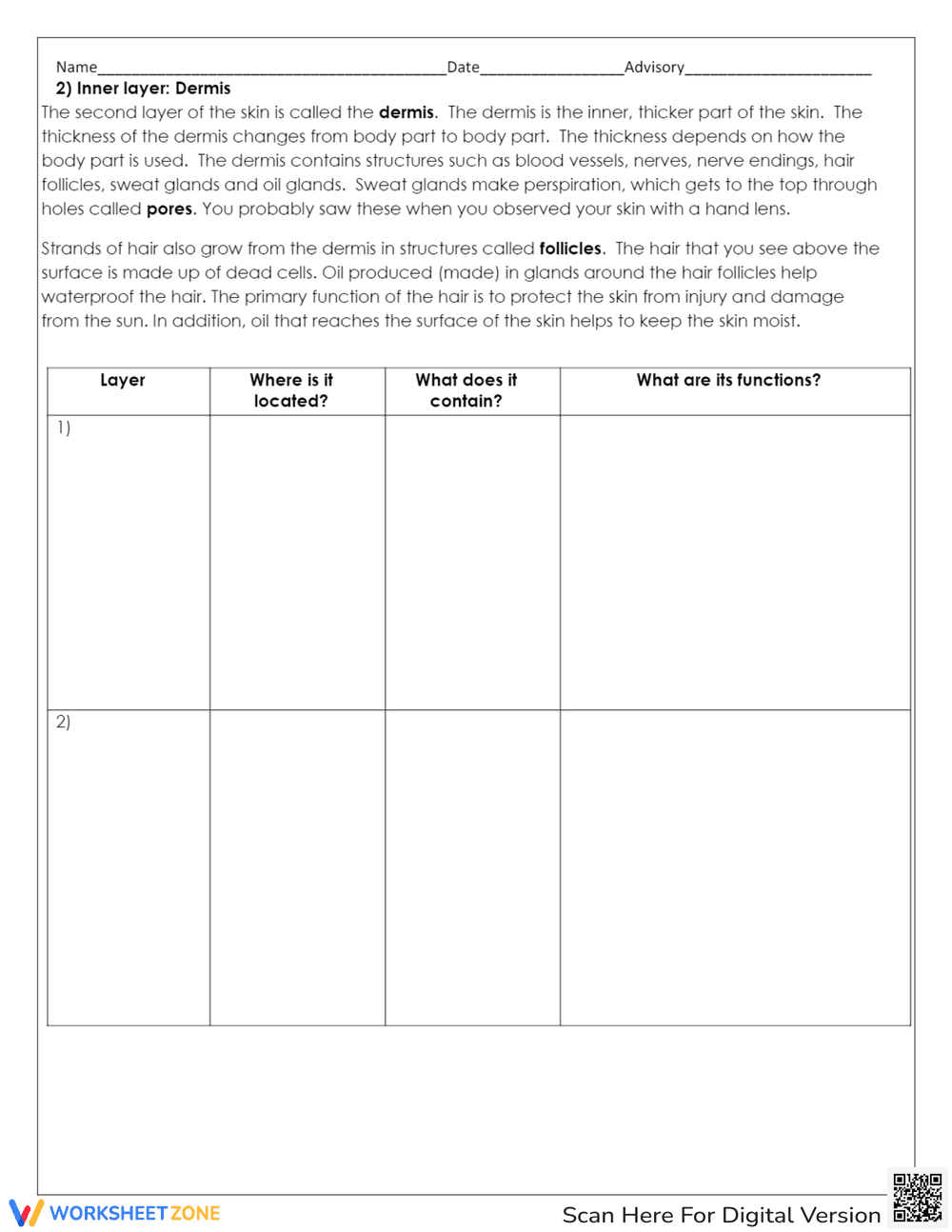 Integumentary System Worksheet - Page 5